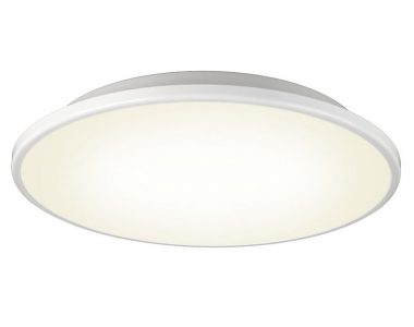 Disc